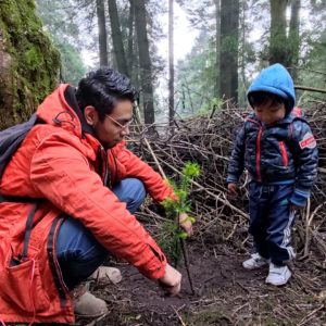 REFORESTACION_FVA1