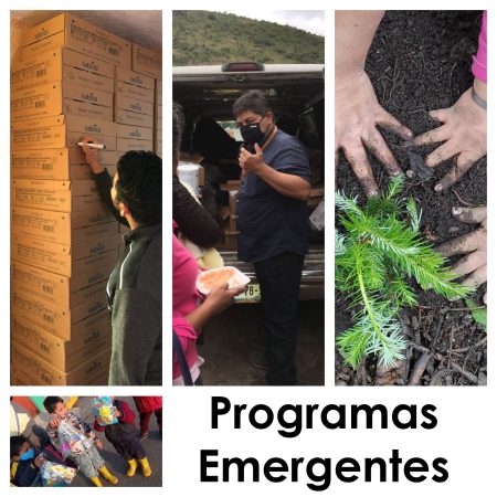 Programas_Emergentes